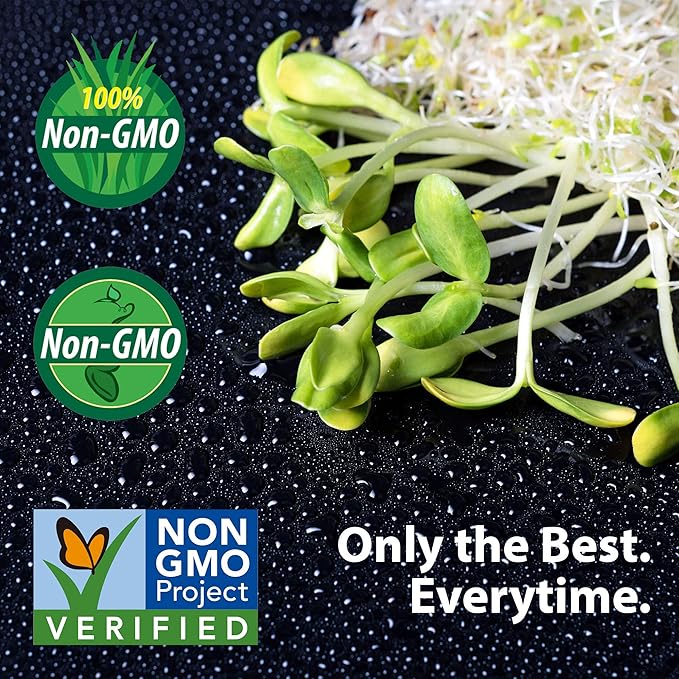 Strawberry Clover - 1 LB ~270,000 Seeds - Hay, Silage, Green Manure or Farm & Garden Cover Crops - Attracts Pollinators