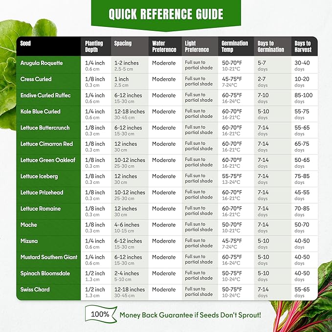 15 Lettuce & Salad Greens Seeds Variety Pack Lettuce Garden Salad Kit with Plant Labels 7300+ Non-GMO Heirloom Arugula Spinach Kale Iceberg Lettuce Seeds for Planting Outdoors Indoors