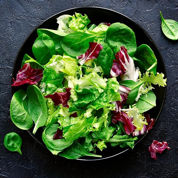 Back to The Roots 100% Organic Heirloom Seeds - Green Leaf Lettuce Value Pack (840mg Total)