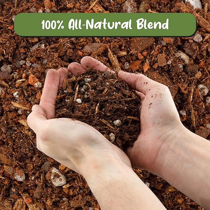 Cactus and Succulent Potting Mix (8 Quarts), Special Blend-Fast Draining and Desert-Style Gritty