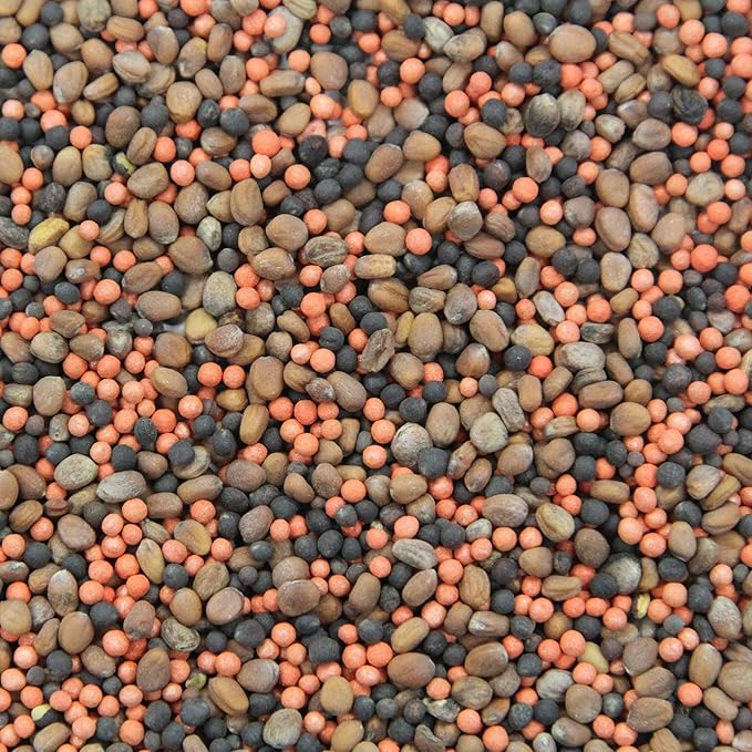 Seeds of Science Pro Brassica Blend (2)