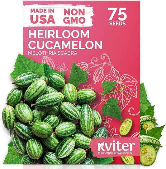 KVITER 75 Cucamelon Seeds for Planting (Melothria Scabra) – Mexican Sour Gherkin Seeds, Gherkin Cucumber, Mexican Mini Watermelon – Heirloom Vegetable Seed for Outdoor & Indoor Garden, Containers