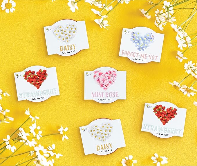 BUZZY Seeds Indoor Flower Starter Kit – Terracotta Mini Grow Pots for Kids & Adults, 6-Pack Love Collection – DIY Windowsill Gardening Kit, Wedding Favors, Party Favors, Bridal Shower Gifts