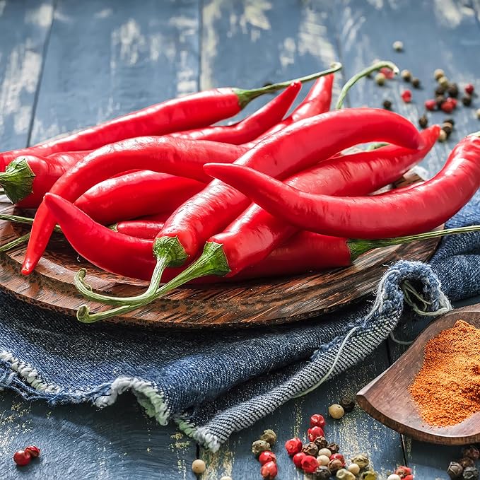 Back to The Roots 100% Organic Heirloom Seeds - Cayenne Chili Pepper Value Pack (280mg Total)