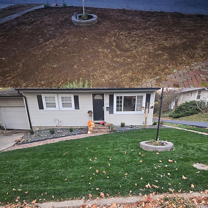 NightShift (Formerly Blackout) Kentucky Bluegrass & Perennial Ryegrass Grass Seed (25 lbs)