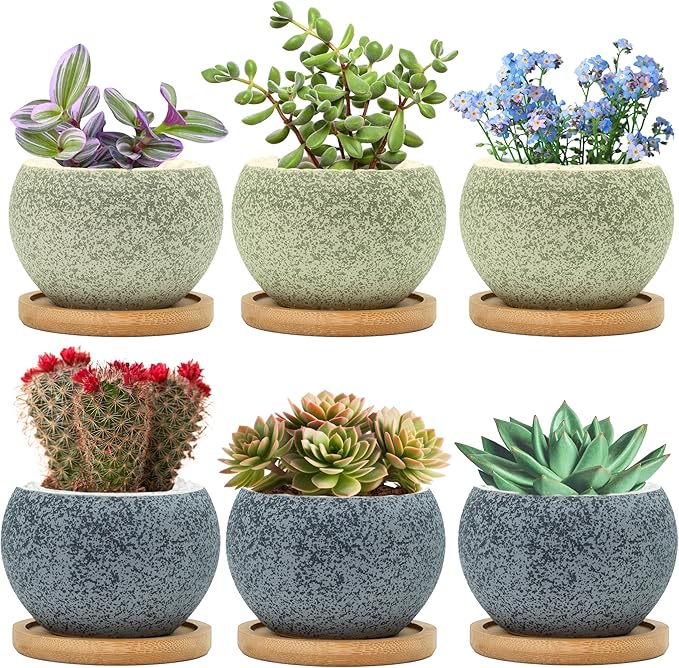 3 inch Ceramic pots for Plants, Small Succulent Pots Set with Drainage, 6 Pack Flower Pot for Indoor Plant, Planters for Little or mini Cactus 2 inches Plants (Green/Black)