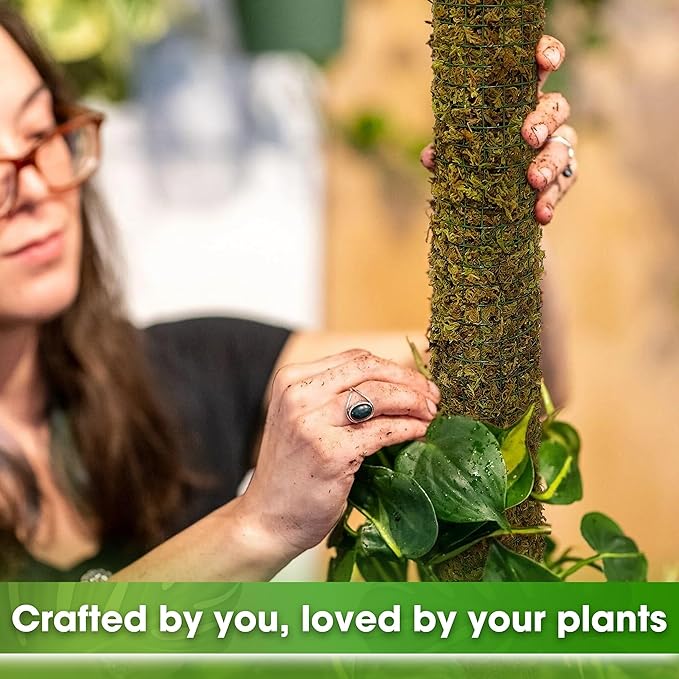 DUSPRO DIY Moss Pole Kit, Metal Moss Pole for Plant Monstera, Pothos, Philodendron, 1pc 8.6ββ x 6.5 ft Wire Moss Pole Mesh with Forest Moss, Cable Zip Ties, Gloves