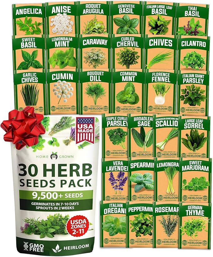 HOME GROWN 30 Herb Seeds for Planting 9,500+ Non-GMO Heirloom Seeds | Extra Large Variety Pack Herb Kit – Indoor Outdoor & Hydroponic | Culinary Seed Set | Grow Your Own Herbs | Gardening Gift
