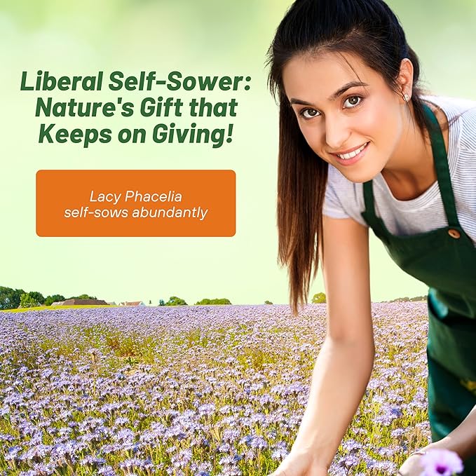 Outsidepride Lacy Phacelia Seeds for Planting - 1 Lb. Annual, Drought-Tolerant Wildflower Seeds with Light Violet Flowers, Ideal for Pollinator Gardens, Erosion Control, & Attracts Bees & Butterflies