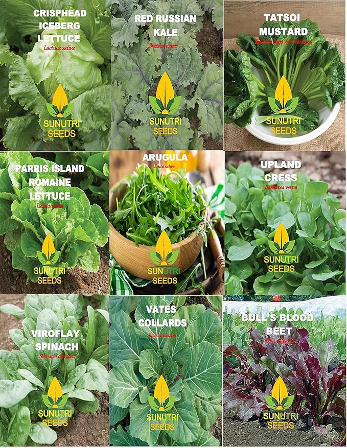 Greens Seeds Collection, 2500+ Seeds, 9 Heirloom Varieties, Arugula, Beet, Upland Cress, Vates Collard, Red Russian Kale, Crisphead Lettuce, Parris Island Lettuce, Tatsoi Mustard, Viroflay Spinach