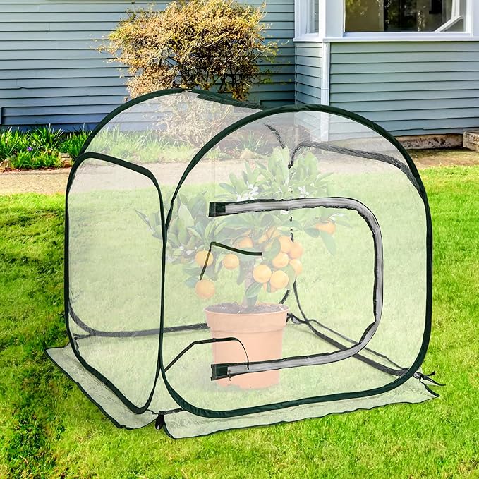 DECOHS 31.5" x 31.5" x 31.5" Mini PVC Pop Up Greenhouse, Transparent Pop Up Grow Greenhouse Plant Cover, Small Gardening Plant Flower Warm House for Cold Frost Protection Indoor & Outdoor