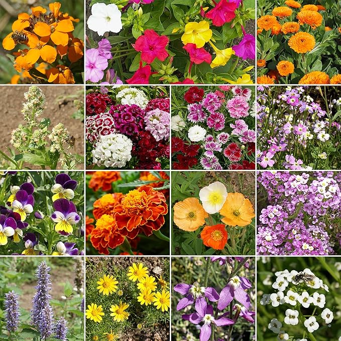 Ferry-Morse Fragrant Mix Bulk Flower Seeds, 1lb