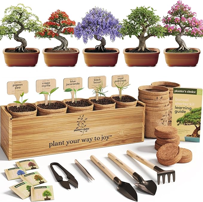 Planter's Choice Bonsai Tree Starter Kit - Unique Gifts for Women, Men - Christmas Gifts for Adults - Indoor Live House Plants - DIY Crafts for Adults Craft Kits - Hobby Gift for Gardening Lovers