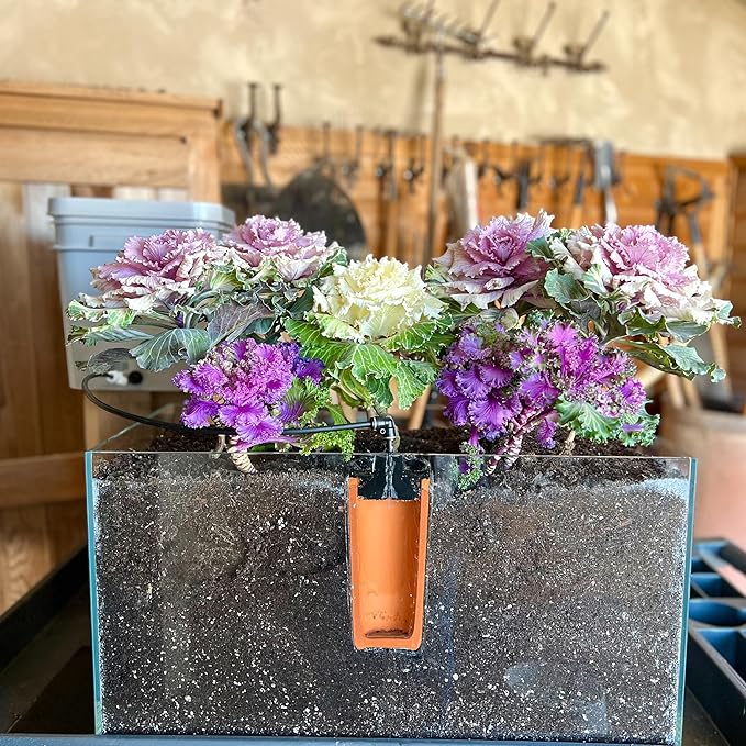 Thirsty Earth: CottaCup Automatic Olla Watering System for Your Garden (6 Cup Kit)