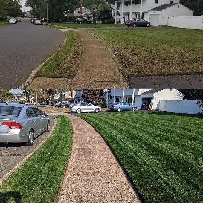 NightShift (Formerly Blackout) Kentucky Bluegrass and Turf Type Tall Fescue Grass Seed (25 Pounds)