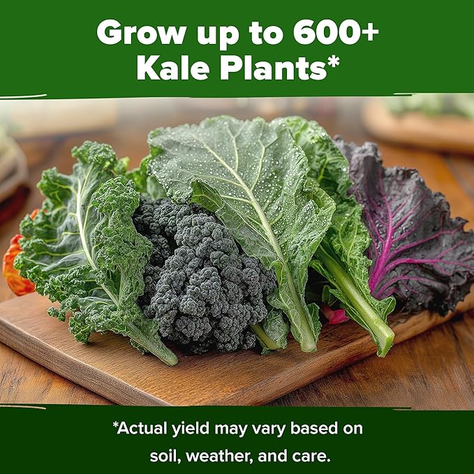 HOME GROWN π¨π¦π π£π₯ππ ππ¨π  Heirloom Vegetable Seeds π‘π’π‘-ππ π’ Vegetable Seeds for Planting Home Garden, Beans, Carrots, Peppers, Cucumber, Kale, Pepper Seeds, Tomato (4 Kale)