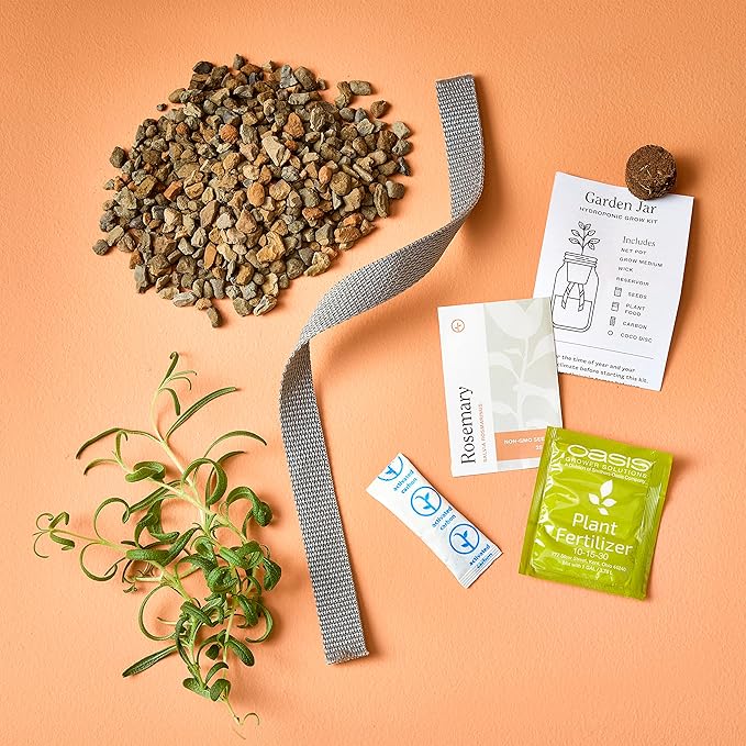 Modern Sprout Glass Jar Grow Set, Indoor Herb Garden, Seed Starter Set, Organic, Non-GMO, Rosemary