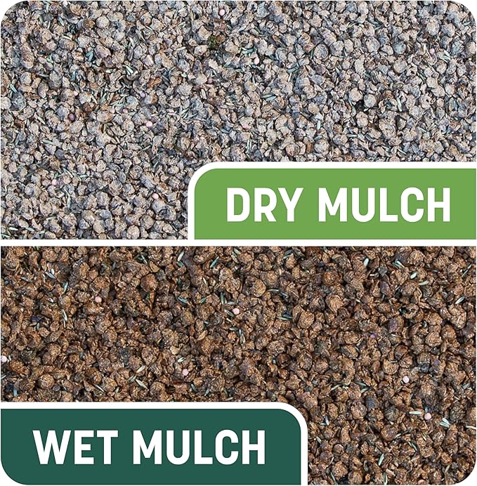 Penn Smart Patch S&S N