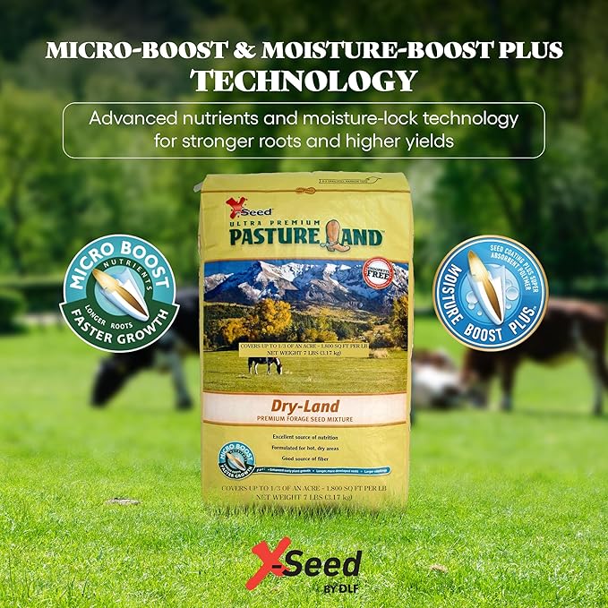 X-Seed Pasture Land Dry-Land Forage Seed Mixture with Micro-Boost – Tall Fescue Orchard Grass Ryegrass Endophyte Free Pasture for Safe Nutrition of Livestock, Formulated for Dry Areas – 7-Pound Bag