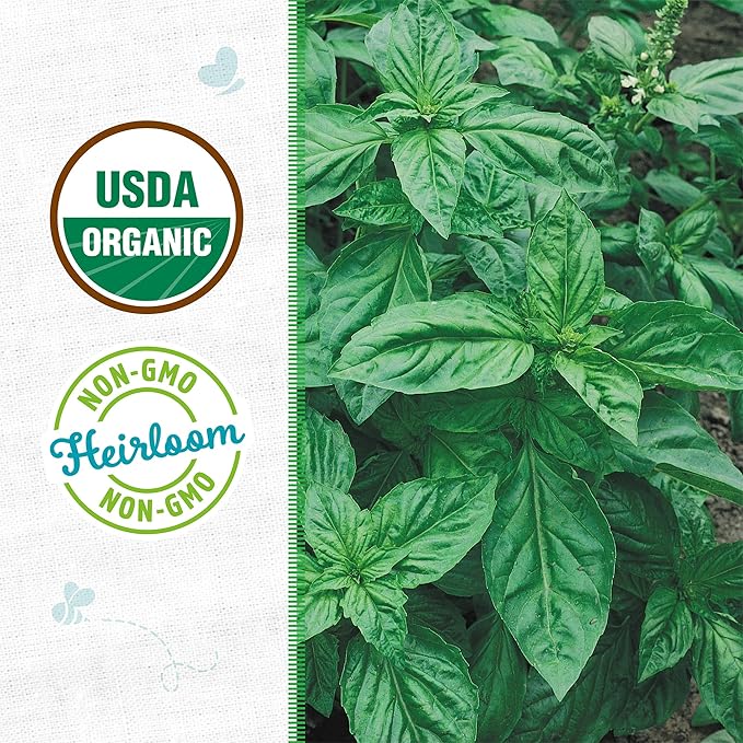 Back to The Roots 100% Organic Heirloom Seeds - Sweet Basil Value Pack (600mg Total)
