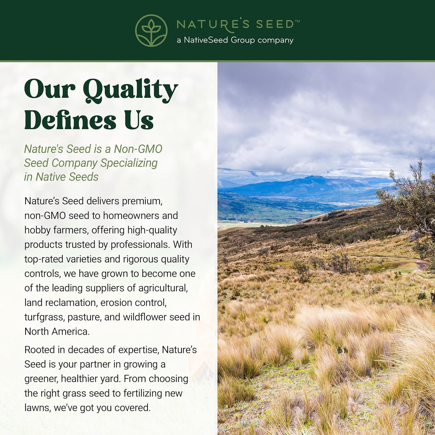 Nature’s Seed Sheep Fescue Grass Seed, Drought Tolerant, for Garden, Lawn, Yard, 5 Lbs