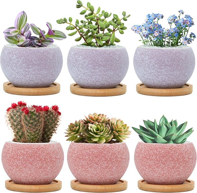 3 inch Ceramic pots for Plants, Small Succulent Pots Set with Drainage, 6 Pack Flower Pot for Indoor Plant, Planters for Little or mini Cactus 2 inches Plants (Pink/Purple)