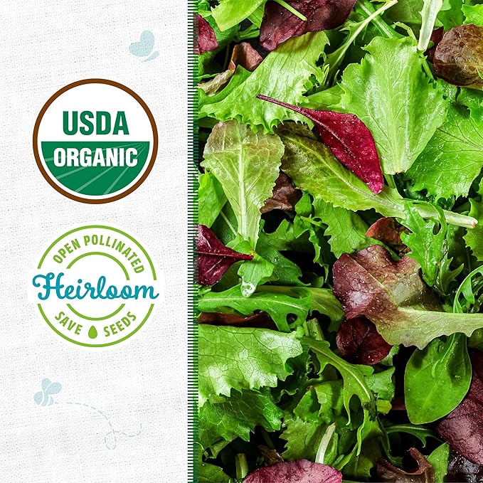 Back to The Roots 100% Organic Heirloom Seeds - Mesclun Young Salad Greens Mix Value Pack (840mg Total)