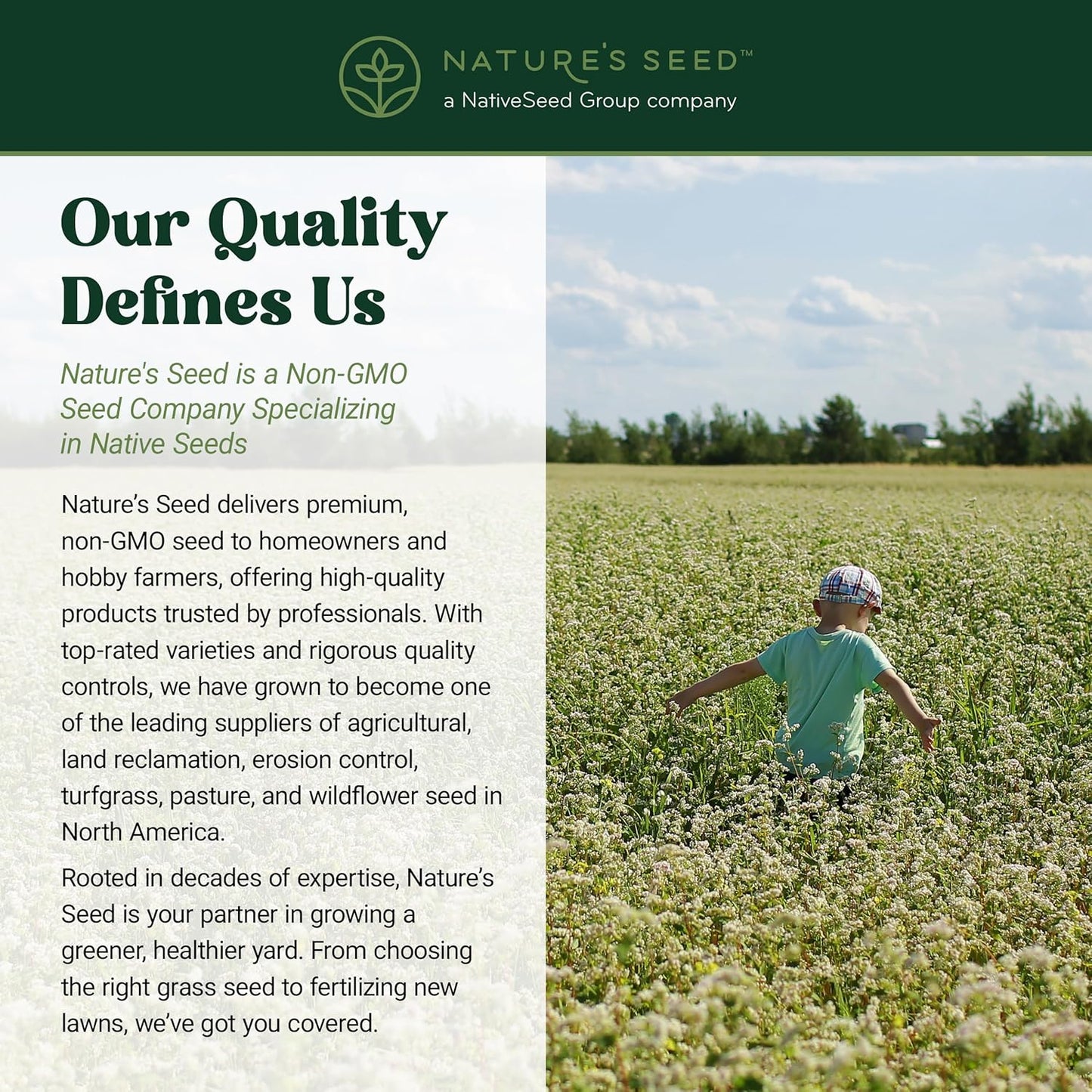 Nature’s Seed Common Buckwheat Seeds for Planting, Wildlife Food Plot, Cover Crop, Green Manure, Pasture, 5 Lbs