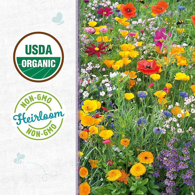 Back to The Roots 100% Organic Heirloom Seeds - Wildflower Mix Value Pack (500mg Total)