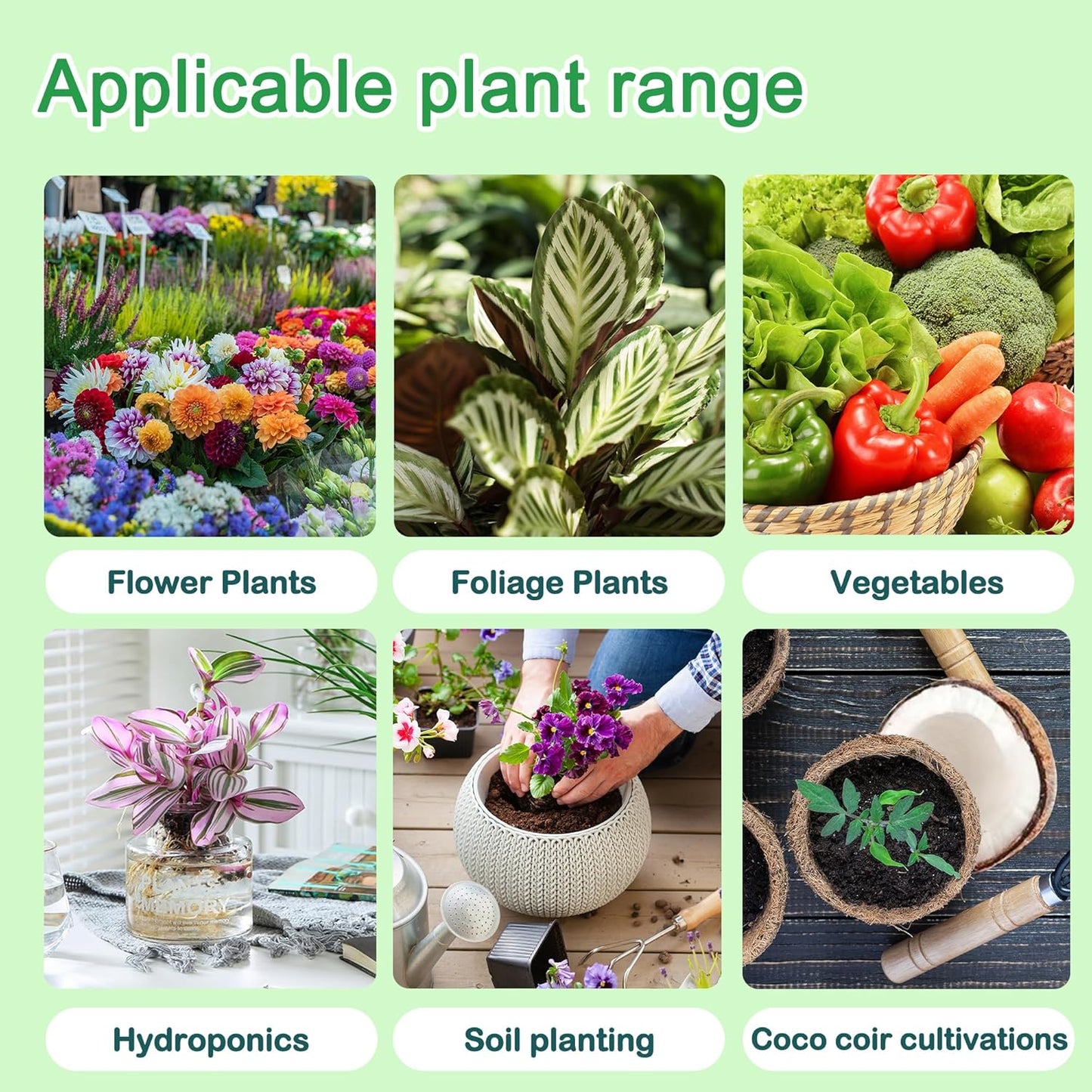 Hydroponics Nutrients (1000ml in Total), A&B Plant Food for Hydroponics Growing System and Potted Houseplants, Plant Fertilizer Supplies