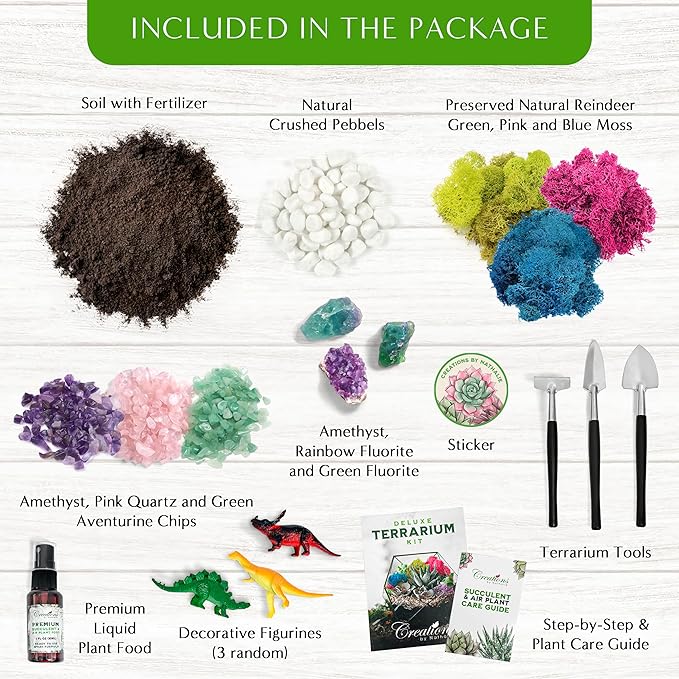 – DIY Large Terrarium Starter Kit with Soil, Moss, Pebbles, Healing Crystal, Tools & Supplies – Terrarium Kit for Adults & Kids, Handcrafted in USA