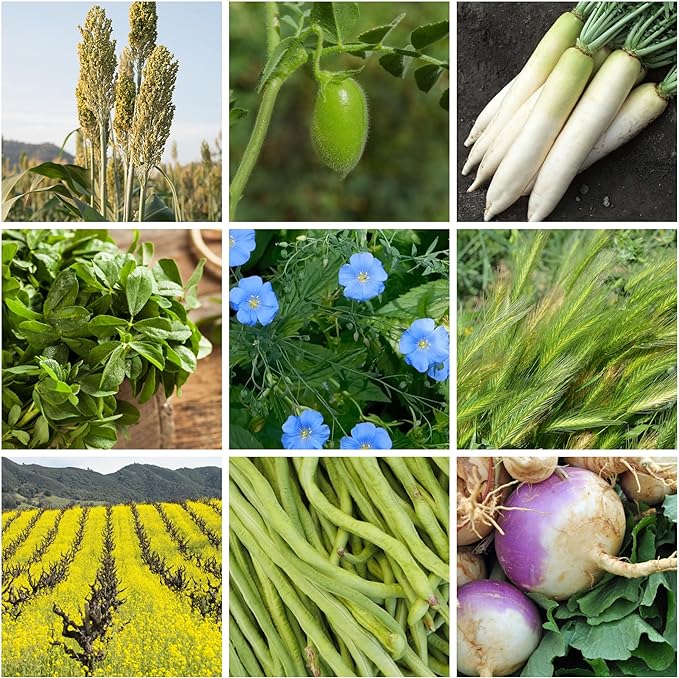 No-Till Forage Friendly Cover Crop Seed Mix โ 5 lb, Covers 1,000 Sq. Ft. โ 9 Winter-Kill Varieties for Spring, Summer & Fall โ Non-GMO Planting Seeds