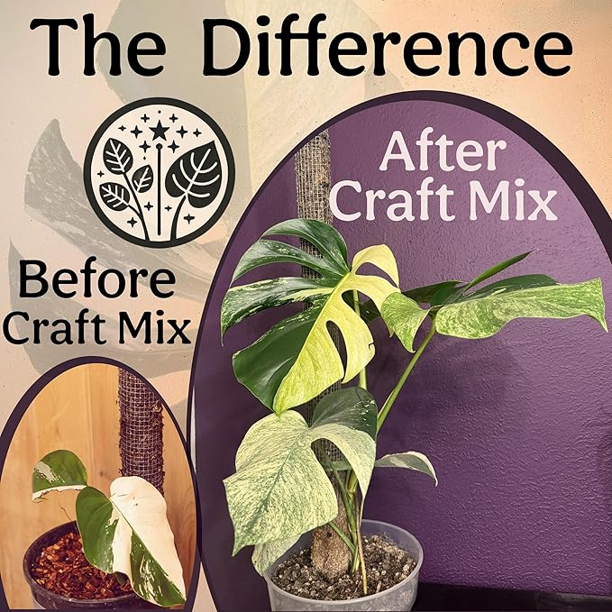 Craft Aroid Potting Mix- Elite Alocasia, Philodendron, Monstera Soil Mix, Chunky, Well Draining Potting Soil for Indoor Plants, All Tropical Plants & Houseplants, Synthetic & Peat Free 1QT