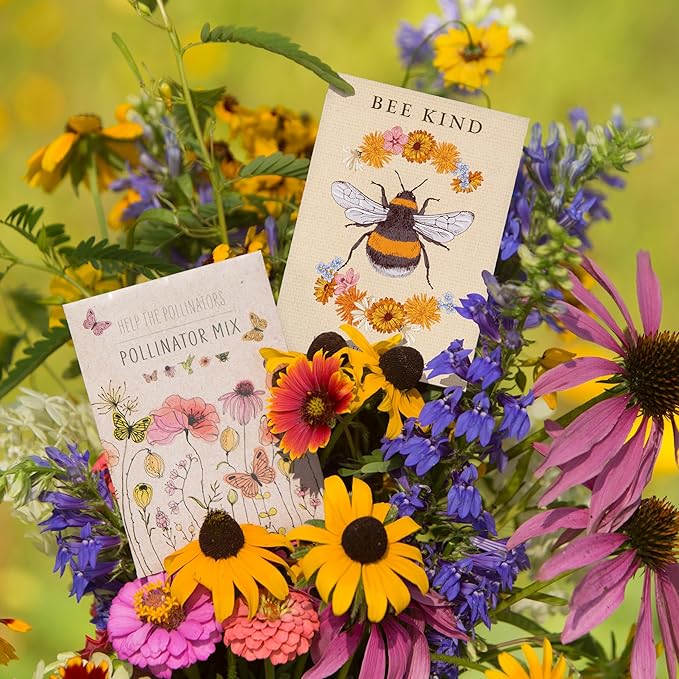 Bentley Pollinator Mix - Pre-Filled, Non-GMO, Non-Coated Butterfly Packets - 25 Annual Wildflower Seeds - Perfect Eco-Friendly Gift