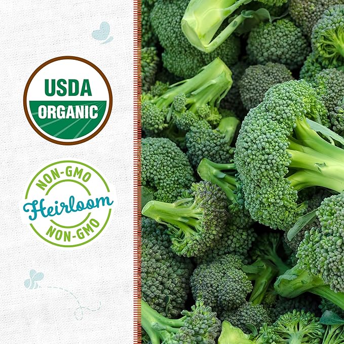 Back to The Roots 100% Organic Heirloom Seeds - Broccoli Value Pack (280mg)