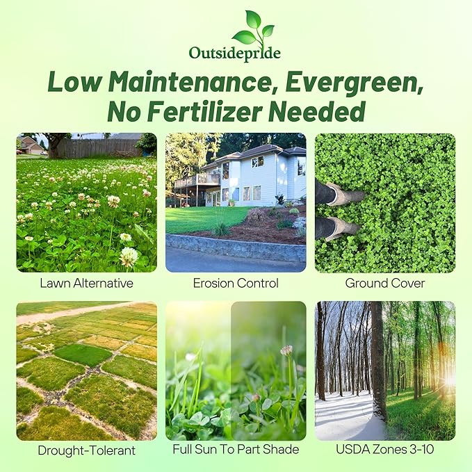 Outsidepride Perennial White Dutch Clover Seed - 2 lbs. Nitrocoated, Inoculated Clover Seeds for Lawn Alternative, Erosion Control, Food Plots, Ground Cover, & Pasture Mixtures in USDA Zones 3-10