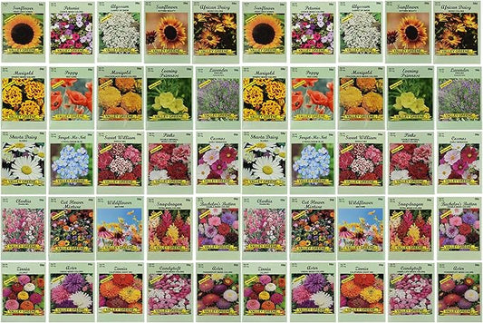 50 Slightly Assorted Flower Seeds! – Great for Bees, Birds, and Butterflies! – Includes 10+ Varieties of USA Grown & Non-GMO Seeds! – May Include Forget-Me-Nots, Marigolds, Wildflowers, and More