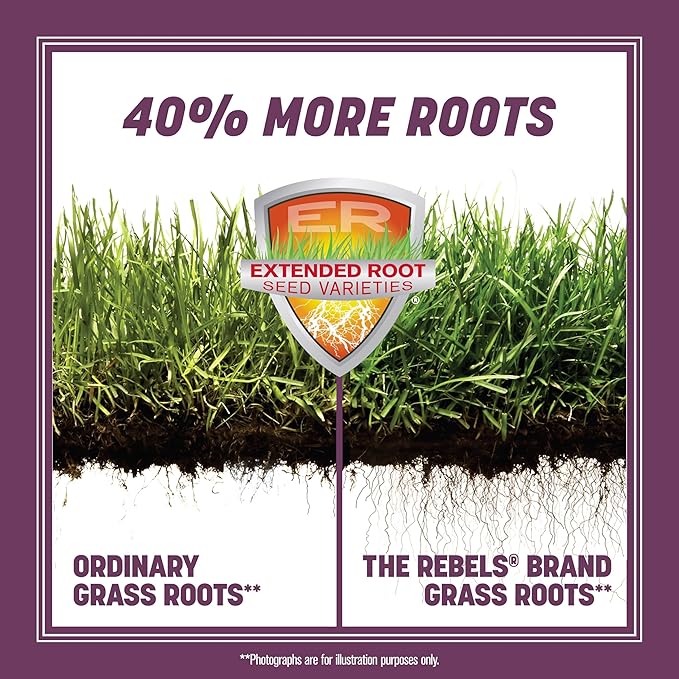 Pennington The Rebels Tall Fescue Shady Grass Seed Mix 7 lb