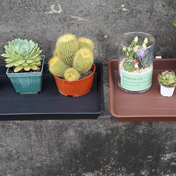 Plant Growing Trays 6 Pack, Plant Tray, 14.5"x11", Heavy Sturdy Plastic Plants Saucer, Seedling Starter Trays, Seed Starter Growing Tray (Black)