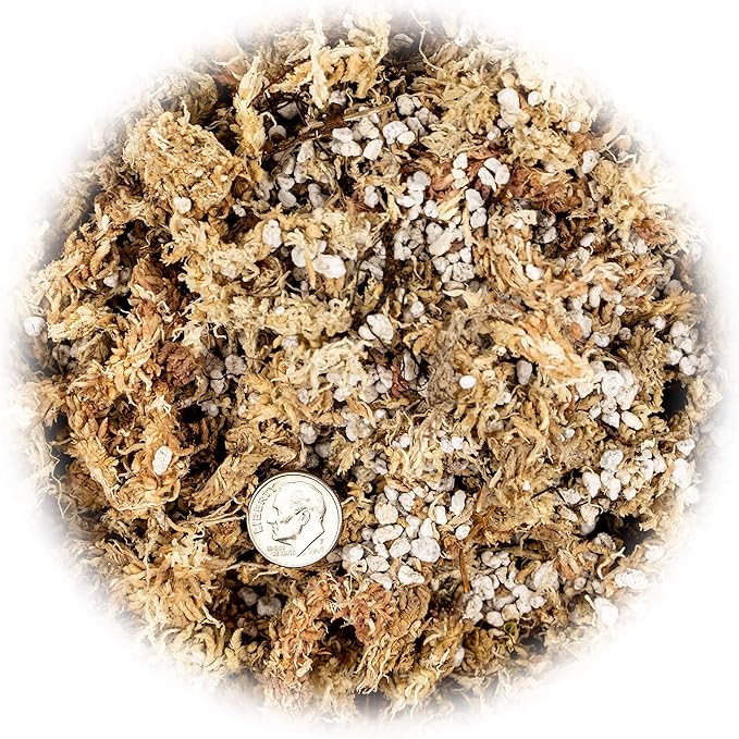 GARDENERA Sphagnum Moss Potting Mix for Carnivorous Plants, Moss and Perlite Blend for Potting Venus Fly Traps, Sarracenia, Pitcher Plants - 75% Sphagnum Moss + 25% Perlite - Made in USA - 3 Quart