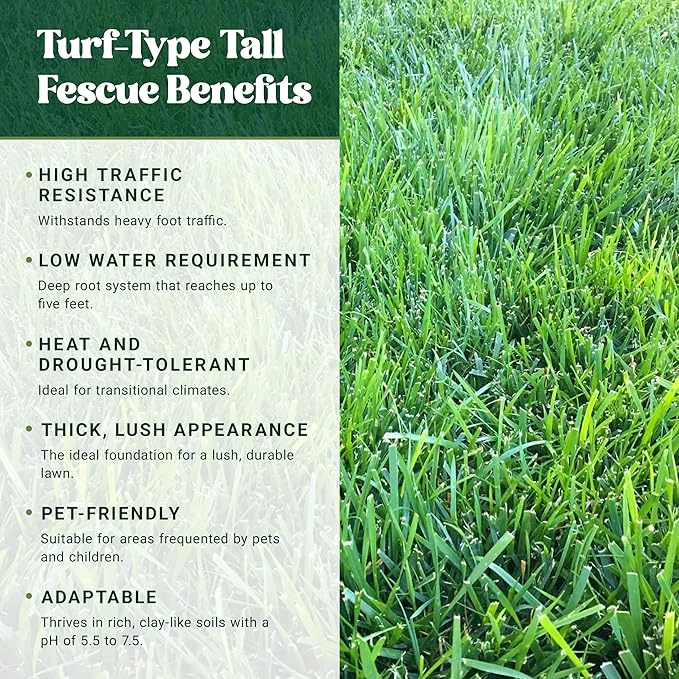 Nature’s Seed Triple-Play Turf Type Tall Fescue Grass Seed Blend, High-Traffic, Heat and Drought Tolerant, for Garden, Lawn, Yard, 5 Lbs