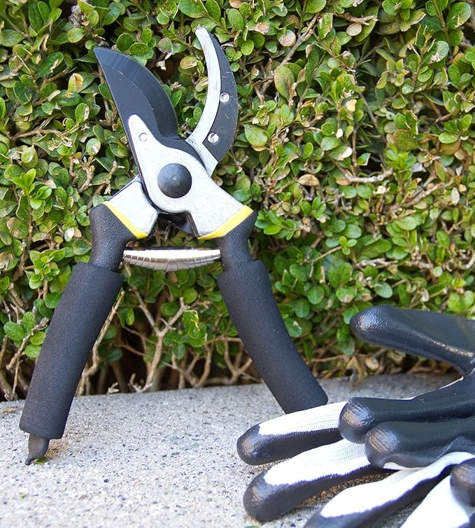 Astorn 8" Premium Bypass Pruning Shears for Gardening - Heavy Duty, Ultra Sharp Garden Shears w/Ergonomic Soft Grip Handle - Made with High-Grade Carbon Steel - Ideal for Cutting, Gardening & Trimming