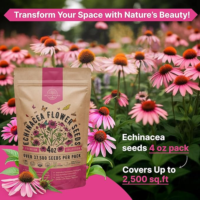 Organo Republic Echinacea Seeds Pack 4 oz - Over 37,500 Non-GMO Heirloom Echinacea Seeds for Planting, Perennial Flowers in Individual Packet, Coneflower for Planting Indoor & Outdoors