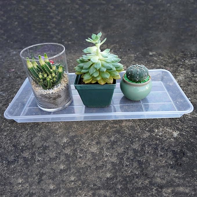 Plastic Plant Trays - 6 Pack Rectangular, Long Narrow Indoors Outdoor Plant Water Drip Trays for Flower Pot Planter, Windowsill (11 x 6 Inch, Clear)