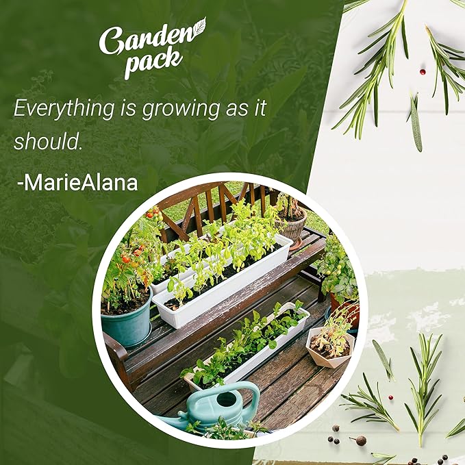 Grow Your Own Herbs Garden Kit - 12 Herb Seeds Variety Pack - Basil, Mint, Rosemary Seeds & More Packets in a Box with Growing Manual by Garden Pack