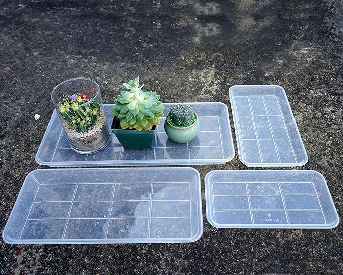 Plastic Plant Trays - 6 Pack Rectangular, Long Narrow Indoors Outdoor Plant Water Drip Trays for Flower Pot Planter, Windowsill (11 x 6 Inch, Clear)