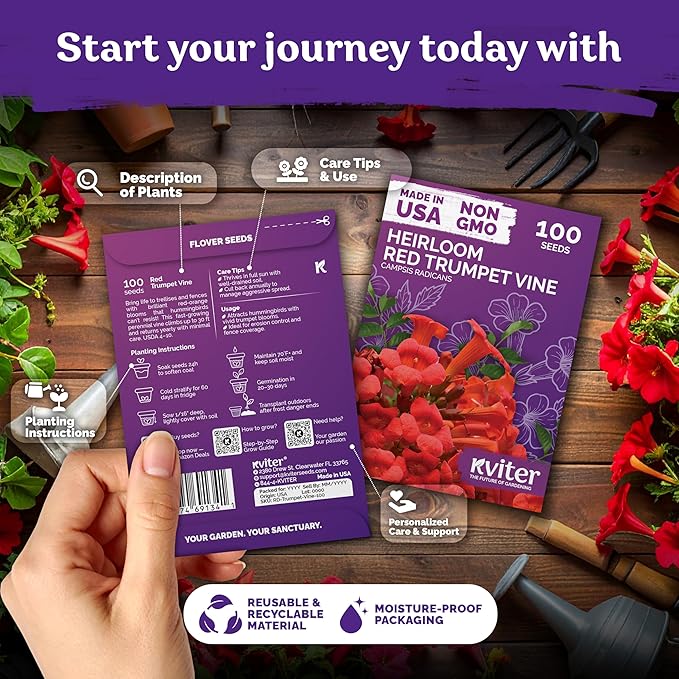 KVITER 100 Red Trumpet Vine Seeds for Planting (Campsis Radicans) – Trumpet Creeper, Organic & Heirloom Hummingbird Vine – Perennial Flower Seeds to Plant Outside – Fences, Trellises & Outdoor Garden