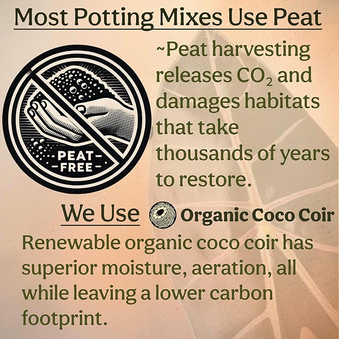 Craft Aroid Potting Mix- Elite Alocasia, Philodendron, Monstera Soil Mix, Chunky, Well Draining Potting Soil for Indoor Plants, All Tropical Plants & Houseplants, Synthetic & Peat Free 4QT