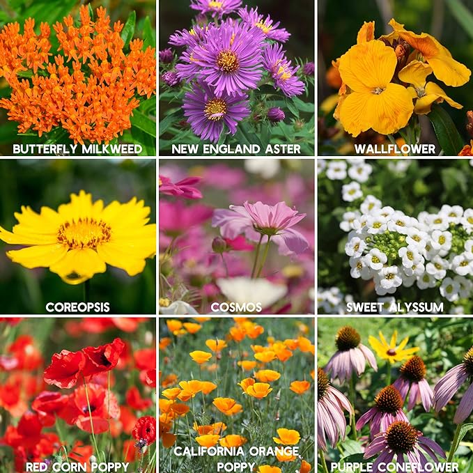 Wildflower Seeds Bulk, 2 Oz. 80,000+ Seeds – Save The Bees Mix with 19 Non-GMO Varieties – Bee Friendly & Pollinator Wildflower Seed for Planting