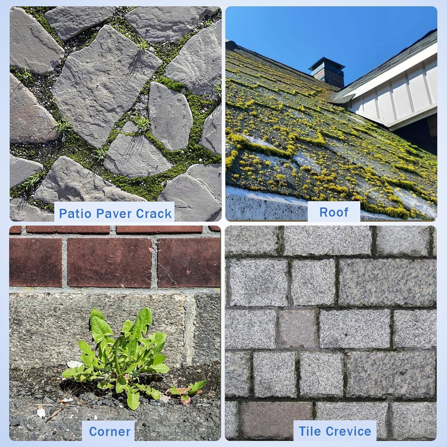 Moss Grout Remover Brush Tool with Detachable 64.9Inch Handle for Outdoor Concrete Deck Pavers Patios Walkways Crevice Cleaning, 2 Pcs Metal Wire Brush Heads with Crack Scraper Weeder Puller